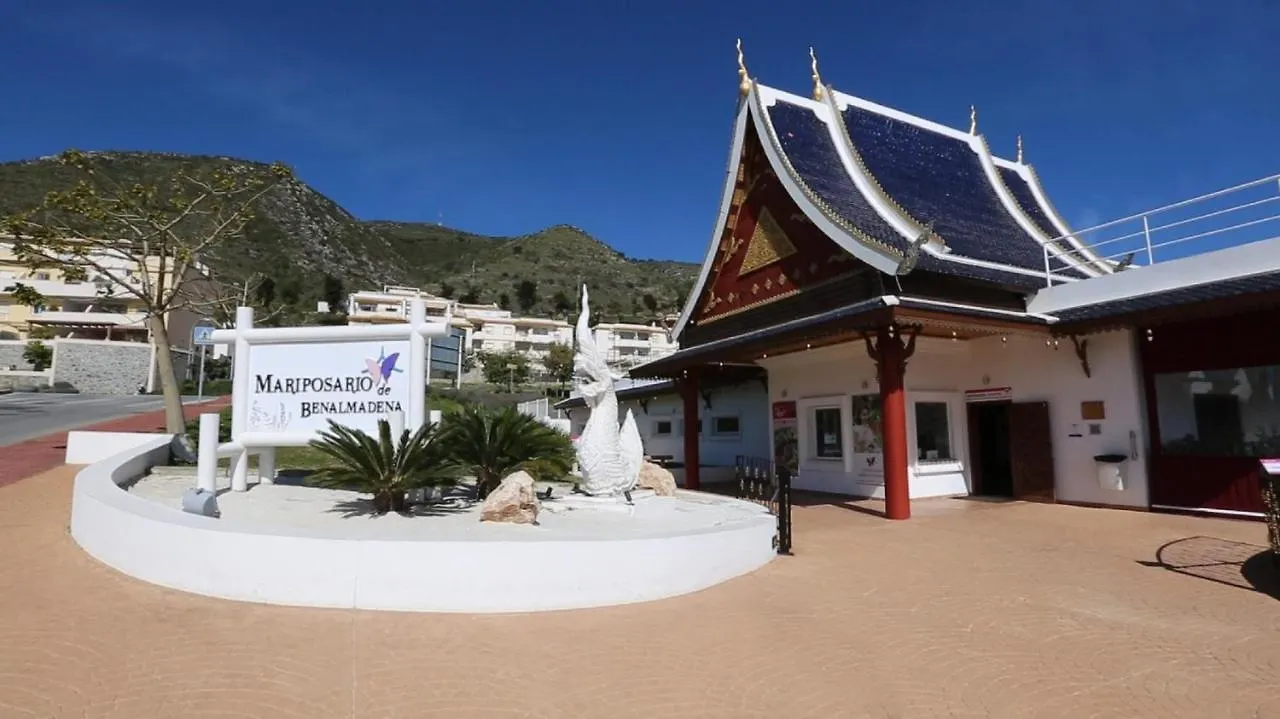 Vive Benalmadena Estudio Benal Beach 1-02 Frontal Al Mar Daire